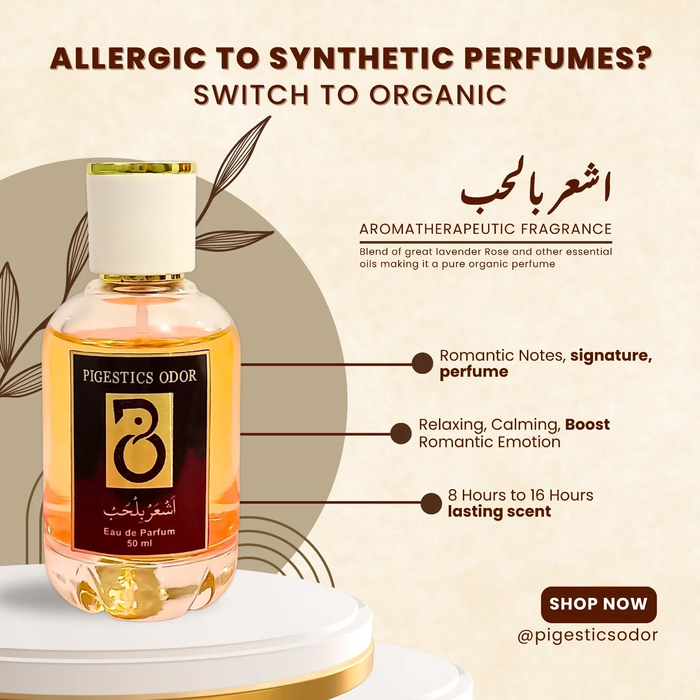 572500749_17865168846484604_8172741309224552281_n